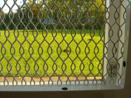 Window Guard Grille